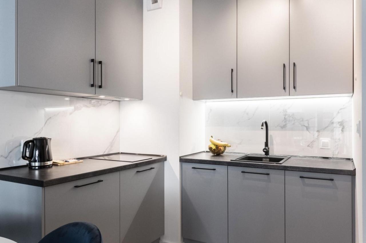 Apartamenty Gasiorowskich 4 포즈난 외부 사진
